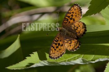 EA132740, Eastpress , Porvoo, Suomi